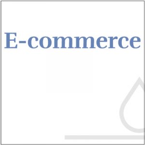 E-Commerce Webmaster and Hosting Support -commerce monthly subscription package